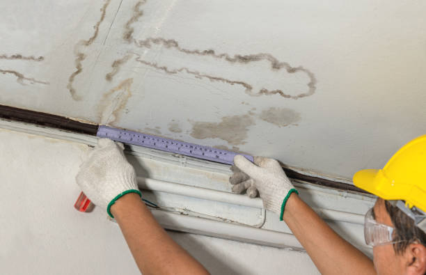 Reliable Water Damage contractor in Hanover, MA by Water Damage Irwin